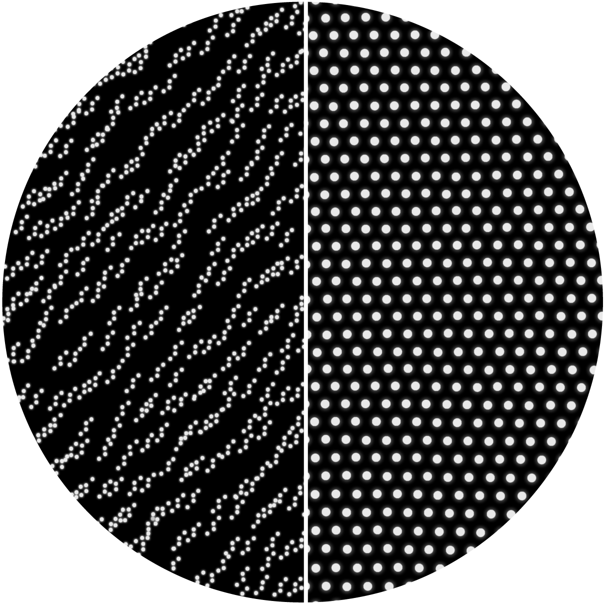 Gemini Dual Pattern Projectors - Metalenz